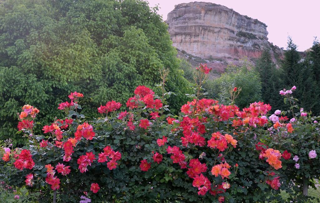 Millpond House Hotel Clarens Bagian luar foto